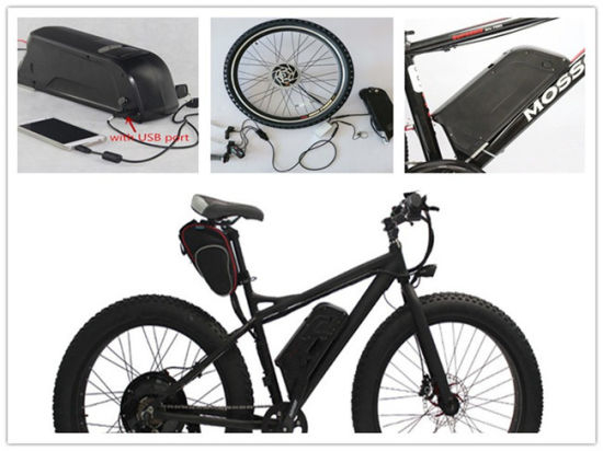 Tipo de tubo inferior de la batería delfín Batería de litio de bicicleta Ebike Batería de litio 48V 13ah