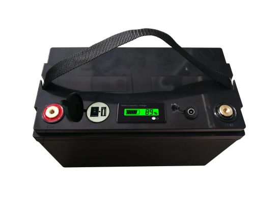 Paquete de batería LiFePO4 de iones de litio de ciclo profundo de 12V 100ah con control de Bluetooth de la APLICACIÓN de la caja del ABS