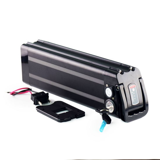 1200W 1000W 750W Silver Fish Ebike Batería 48V 20ah 13s7p 18650 Batería de litio