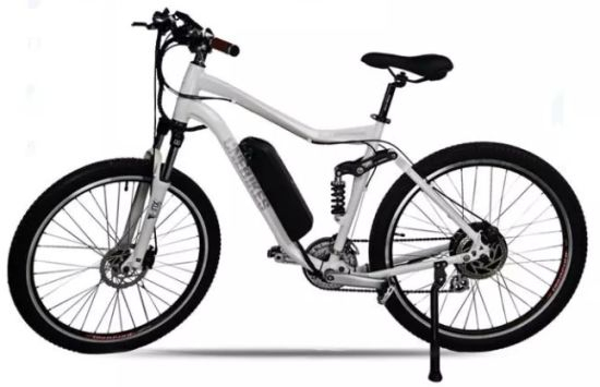 Hailong 26 &quot;500W 36V 12.5ah Fattire Mountain Beach Bicicleta eléctrica Bicicleta eléctrica E-Bike Ebike Batería