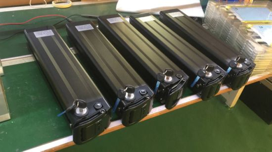 Venta de fábrica 1000W batería de litio Ebike batería de pescado de plata 48V 20ah