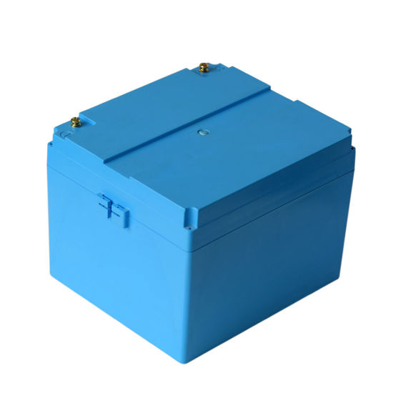 Paquete de batería de litio impermeable 12V LiFePO4 con estuche