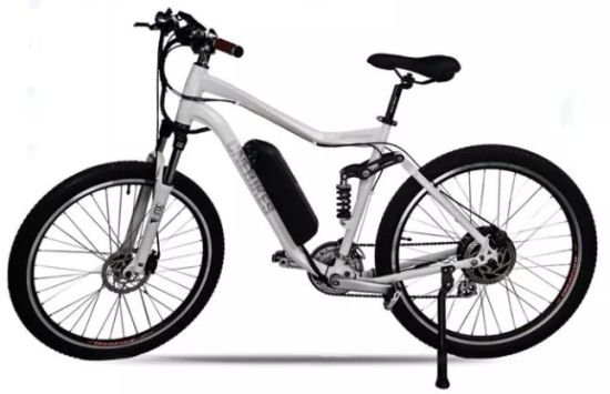 Tipo Hailong Batería eléctrica de bicicleta de montaña 48V 14ah 15ah 500W 750W