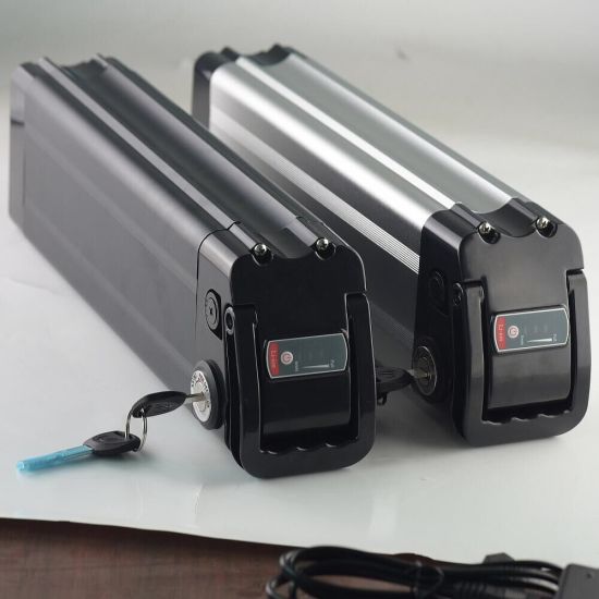Paquete de baterías de iones de litio Fish Model 48V 20ah 750W 1000W